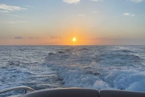 Gourmet cruise at sunset with whale watching