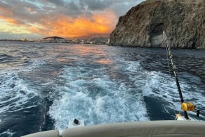 Круиз для гурманов на закате с наблюдением за китами