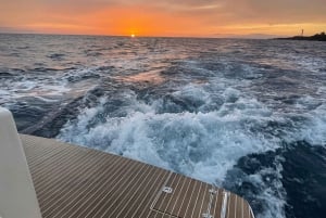 Круиз для гурманов на закате с наблюдением за китами