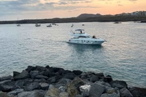 Круиз для гурманов на закате с наблюдением за китами