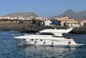 Круиз для гурманов на закате с наблюдением за китами