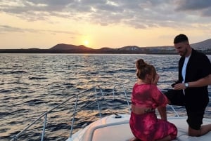 Круиз для гурманов на закате с наблюдением за китами