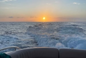 Круиз для гурманов на закате с наблюдением за китами