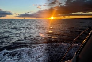 Круиз для гурманов на закате с наблюдением за китами