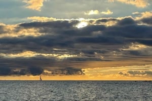 Круиз для гурманов на закате с наблюдением за китами