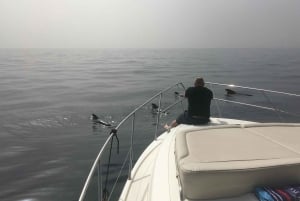 Круиз для гурманов на закате с наблюдением за китами