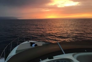 Круиз для гурманов на закате с наблюдением за китами