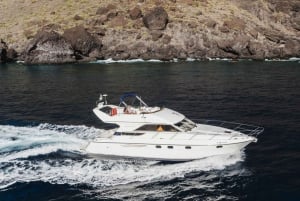 Круиз для гурманов на закате с наблюдением за китами