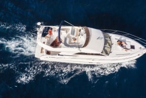 Круиз для гурманов на закате с наблюдением за китами