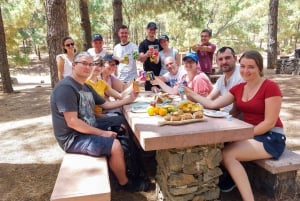 Gran Canaria 7 Highlights Small Group Tour with Tapas Picnic