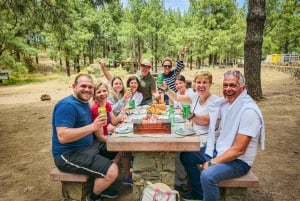 Gran Canaria 7 Destaques Tour em pequenos grupos com piquenique de tapas