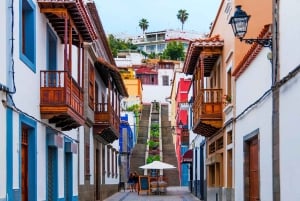 Gran Canarias Gipfel im Minibus: Firgas, Teror, Aloe Vera Tour