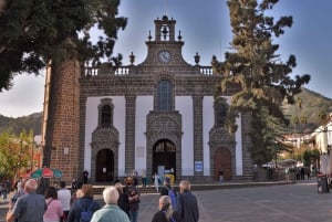 Gran Canarias Gipfel im Minibus: Firgas, Teror, Aloe Vera Tour