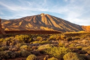 Tenerife: Guided Off-Road Quad Tour on Mount Teide