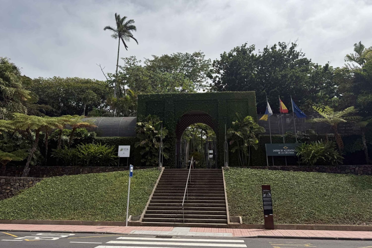 Geführte Tour: Botanische Geheimnisse des Nordens von Teneriffa zwischen Meer und Gärten