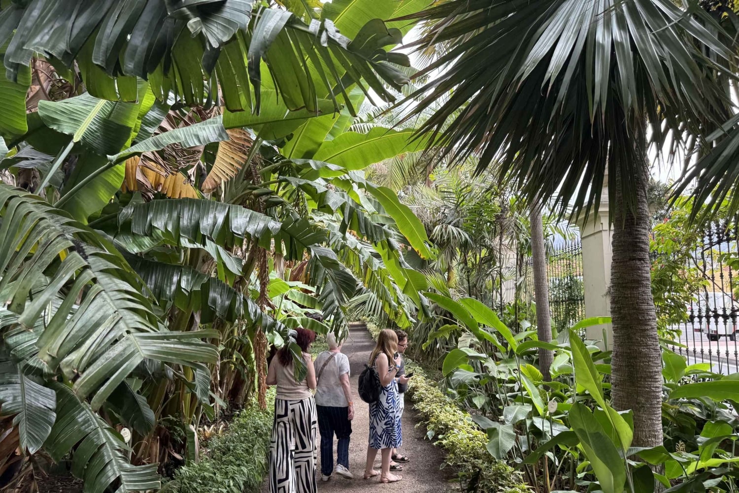 Geführte Tour: Botanische Geheimnisse des Nordens von Teneriffa zwischen Meer und Gärten