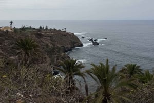 Geführte Tour: Botanische Geheimnisse des Nordens von Teneriffa zwischen Meer und Gärten