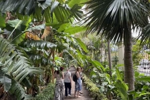 Geführte Tour: Botanische Geheimnisse des Nordens von Teneriffa zwischen Meer und Gärten