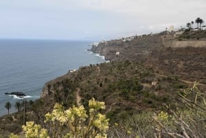 Geführte Tour: Botanische Geheimnisse des Nordens von Teneriffa zwischen Meer und Gärten