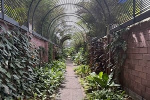 Geführte Tour: Botanische Geheimnisse des Nordens von Teneriffa zwischen Meer und Gärten