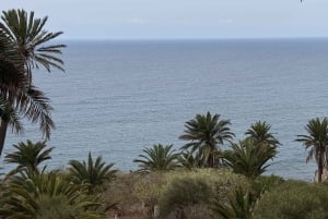 Geführte Tour: Botanische Geheimnisse des Nordens von Teneriffa zwischen Meer und Gärten