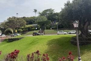 Geführte Tour: Botanische Geheimnisse des Nordens von Teneriffa zwischen Meer und Gärten