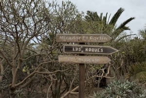 Geführte Tour: Botanische Geheimnisse des Nordens von Teneriffa zwischen Meer und Gärten
