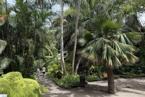 Geführte Tour: Botanische Geheimnisse des Nordens von Teneriffa zwischen Meer und Gärten