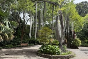 Geführte Tour: Botanische Geheimnisse des Nordens von Teneriffa zwischen Meer und Gärten