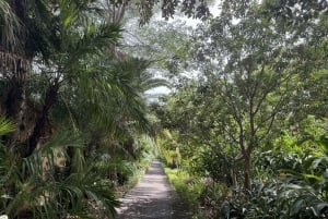 Geführte Tour: Botanische Geheimnisse des Nordens von Teneriffa zwischen Meer und Gärten