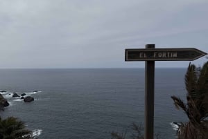 Geführte Tour: Botanische Geheimnisse des Nordens von Teneriffa zwischen Meer und Gärten