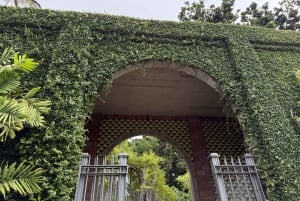 Geführte Tour: Botanische Geheimnisse des Nordens von Teneriffa zwischen Meer und Gärten