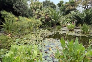 Geführte Tour: Botanische Geheimnisse des Nordens von Teneriffa zwischen Meer und Gärten