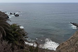 Geführte Tour: Botanische Geheimnisse des Nordens von Teneriffa zwischen Meer und Gärten
