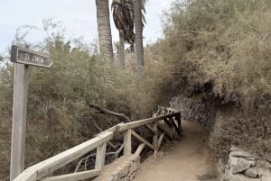 Geführte Tour: Botanische Geheimnisse des Nordens von Teneriffa zwischen Meer und Gärten