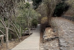 Geführte Tour: Botanische Geheimnisse des Nordens von Teneriffa zwischen Meer und Gärten