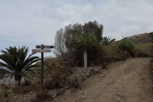 Geführte Tour: Botanische Geheimnisse des Nordens von Teneriffa zwischen Meer und Gärten