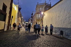 Культурная экскурсия с гидом и загадками в Сан-Кристобаль-де-ла-Лагуна с дегустацией сладостей.