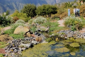 Guïmar: Etnografisch park Piramides van Güímar Toegangsbewijs