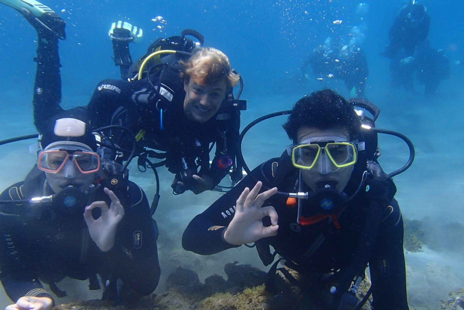 Half-Day Scuba Diving in Tenerife from Abades Beach