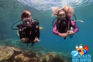 Half-Day Scuba Diving in Tenerife from Abades Beach