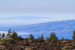 From South Tenerife: Half-Day Tour to Mount Teide