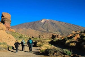 From South Tenerife: Half-Day Tour to Mount Teide