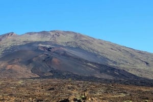 From South Tenerife: Half-Day Tour to Mount Teide