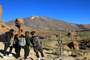 From South Tenerife: Half-Day Tour to Mount Teide