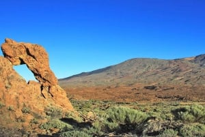 From South Tenerife: Half-Day Tour to Mount Teide