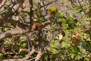 Hell's Gorge hike - Barranco del infierno