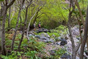 Hell's Gorge hike - Barranco del infierno