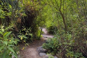 Hell's Gorge hike - Barranco del infierno