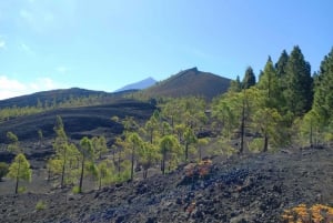 Wandelen op klassiek Tenerife